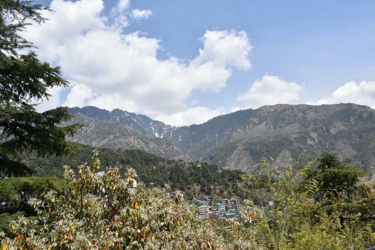 Misty Woods Hotel Dharamshala Ngoại thất bức ảnh