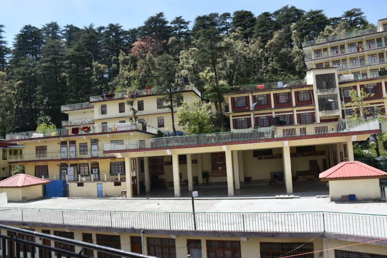 Misty Woods Hotel Dharamshala Ngoại thất bức ảnh