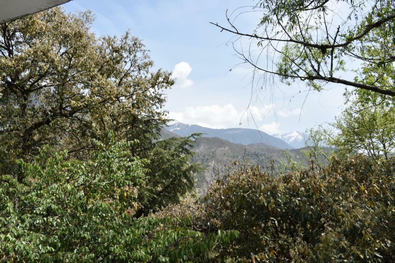 Misty Woods Hotel Dharamshala Ngoại thất bức ảnh