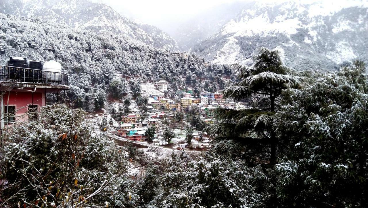 Misty Woods Hotel Dharamshala Ngoại thất bức ảnh